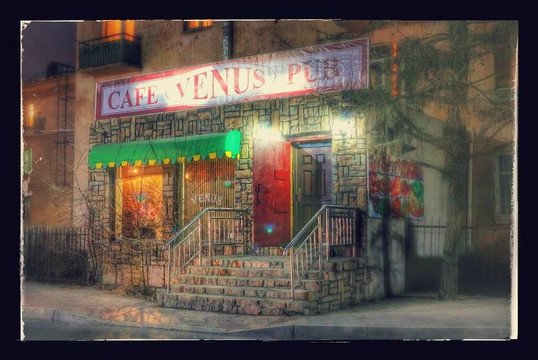 Venus Cafe主图