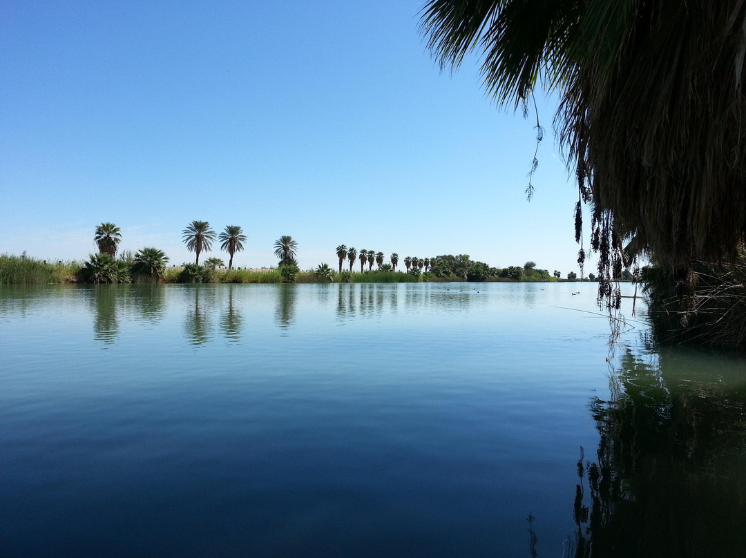 Ocotillo酒店住宿-Sunbeam Lake