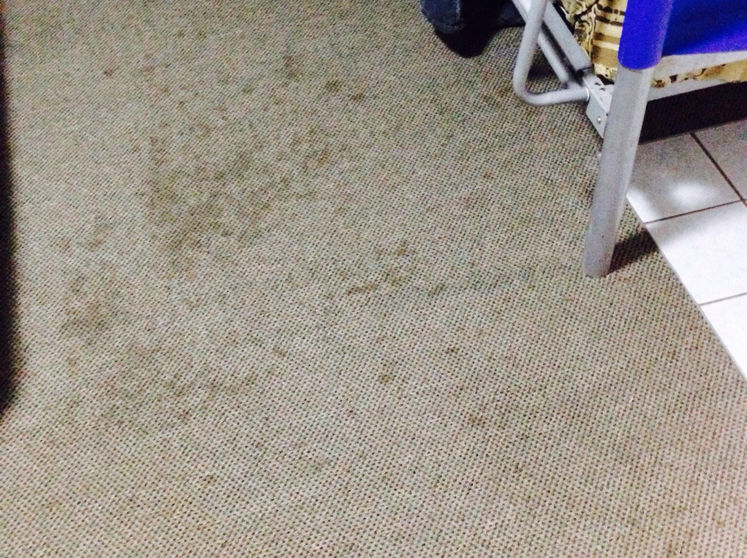 Noosa North Shore Resort-努沙必去景点