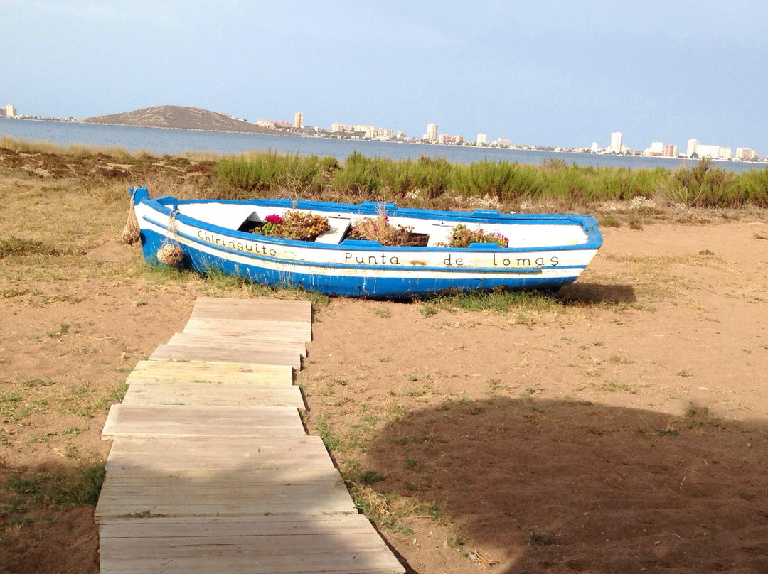 Chiringuito Punta de Lomas景点图片