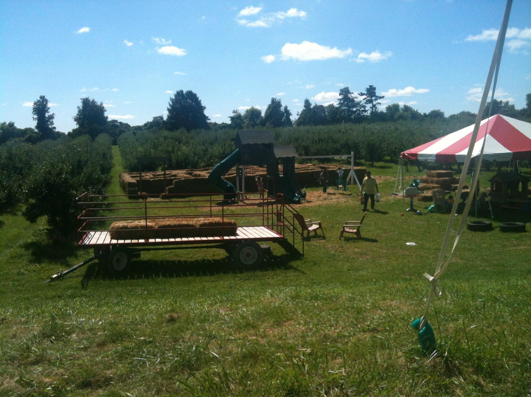 Country Apple Orchard Farm Inc景点图片