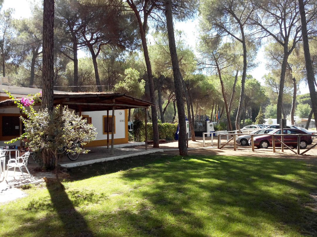 Camping Dehesa Nueva