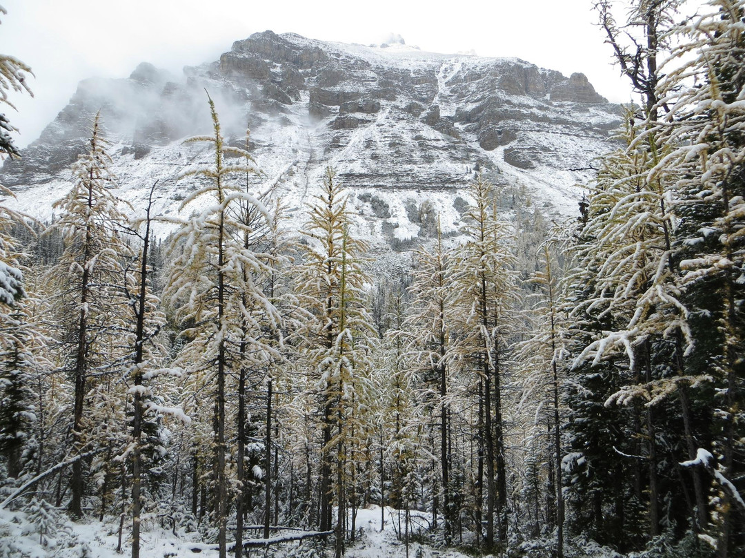 Valley of the Ten Peaks-班夫国家公园必去景点