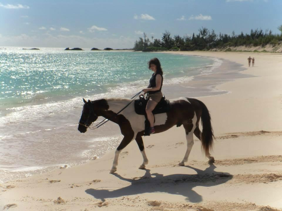 Oceanview Farm-Governor's Harbour必去景点