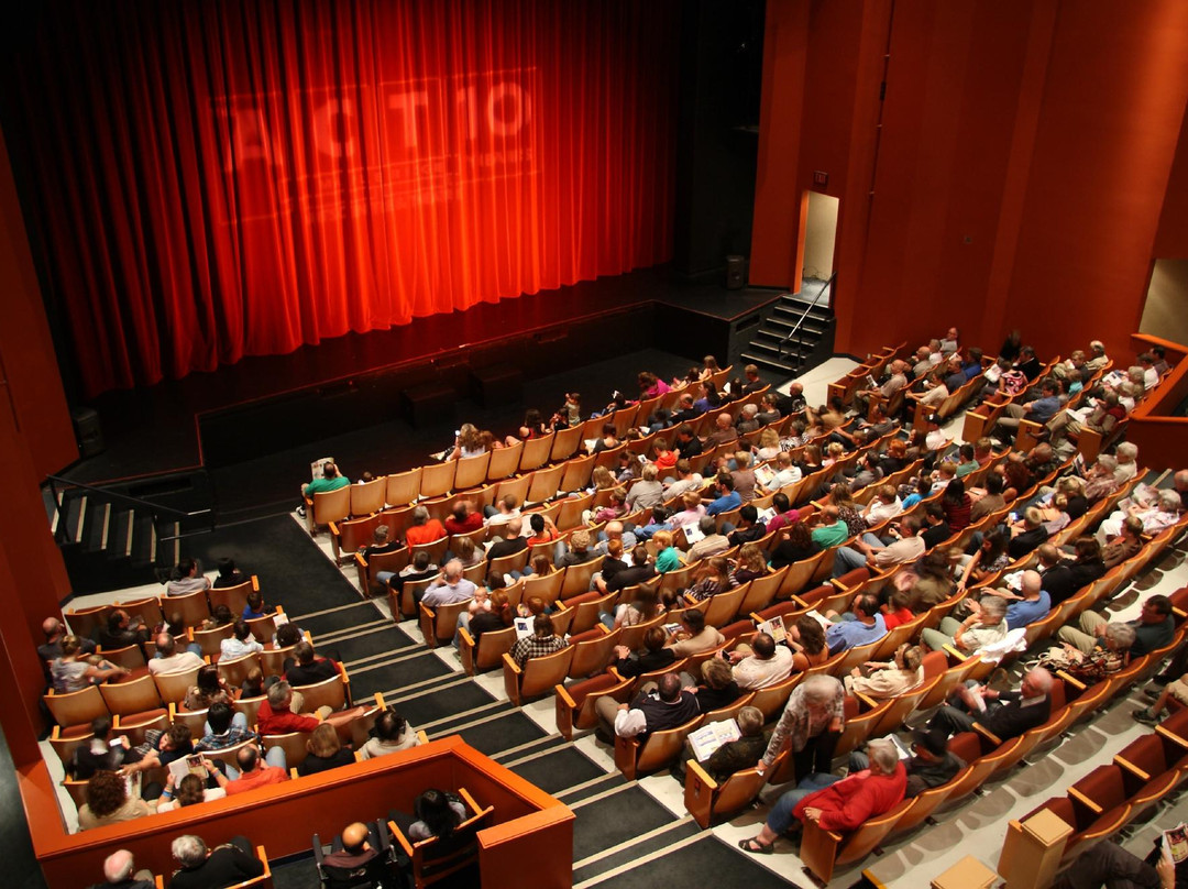 The ACT Arts Centre-枫树岭必去景点