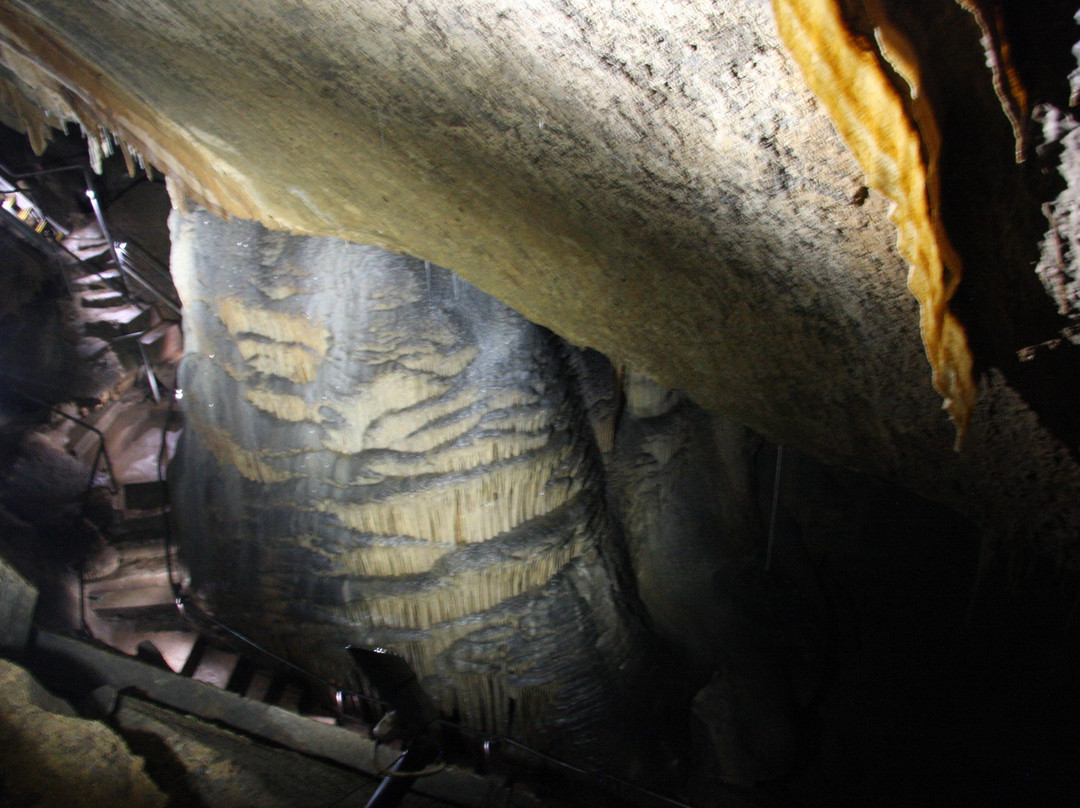 Gunns Plains Caves-Gunns Plains必去景点