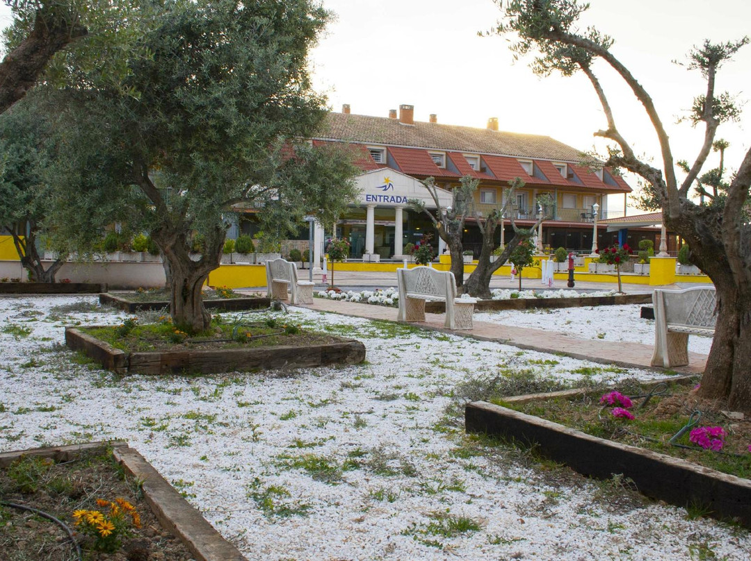 Apartahotel Las Olivas