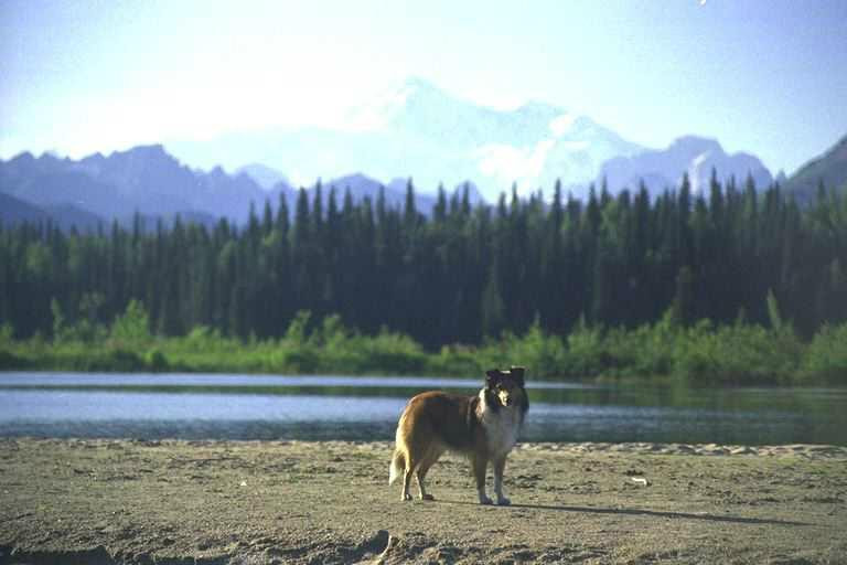 Byers Lake-塔尔基特纳必去景点