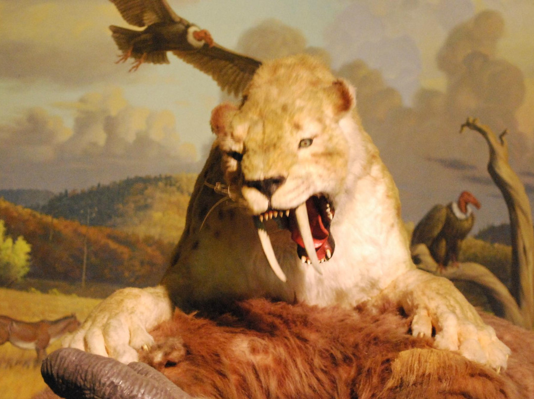 佩吉博物馆-洛杉矶必去景点