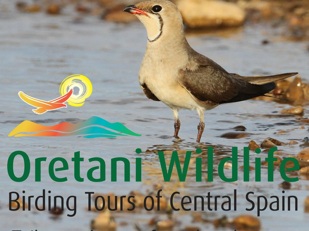 Oretani Wildlife - Day Private Tours