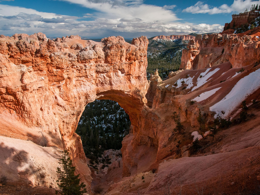 Natural Bridge-布莱斯必去景点