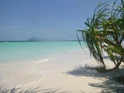 热带研究与保护中心-仙本那必去景点