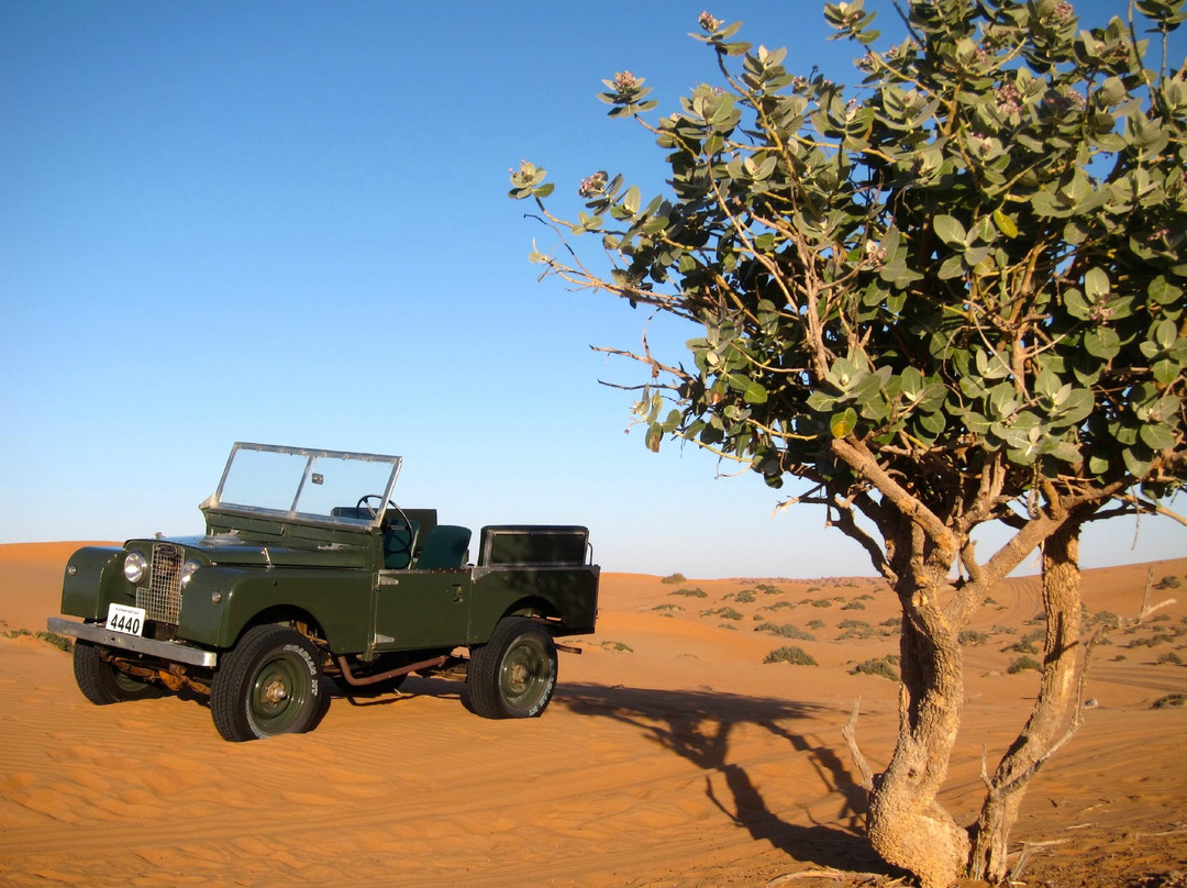 白金奢华探索之旅-迪拜必去景点