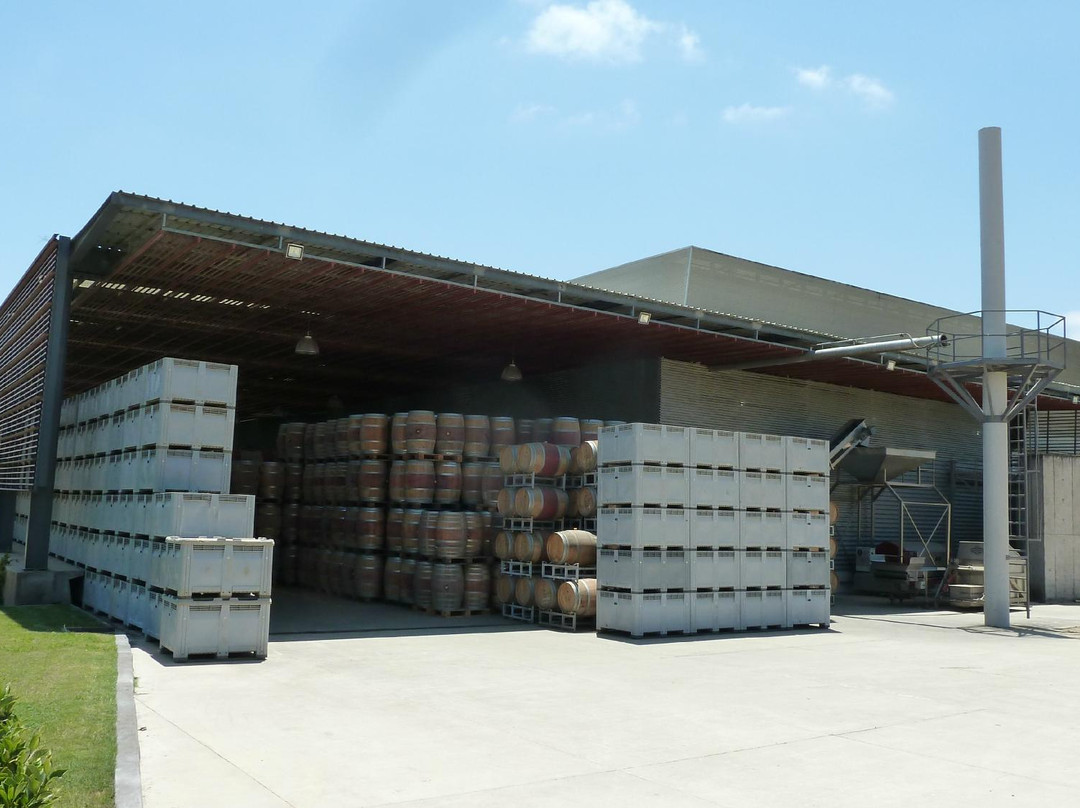 Vina  Los Vascos-圣克鲁斯必去景点