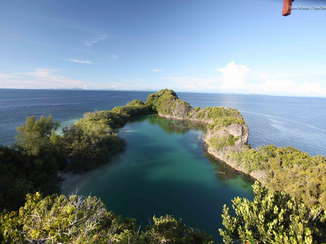 Sea Sanctuaries Trust-四王岛必去景点
