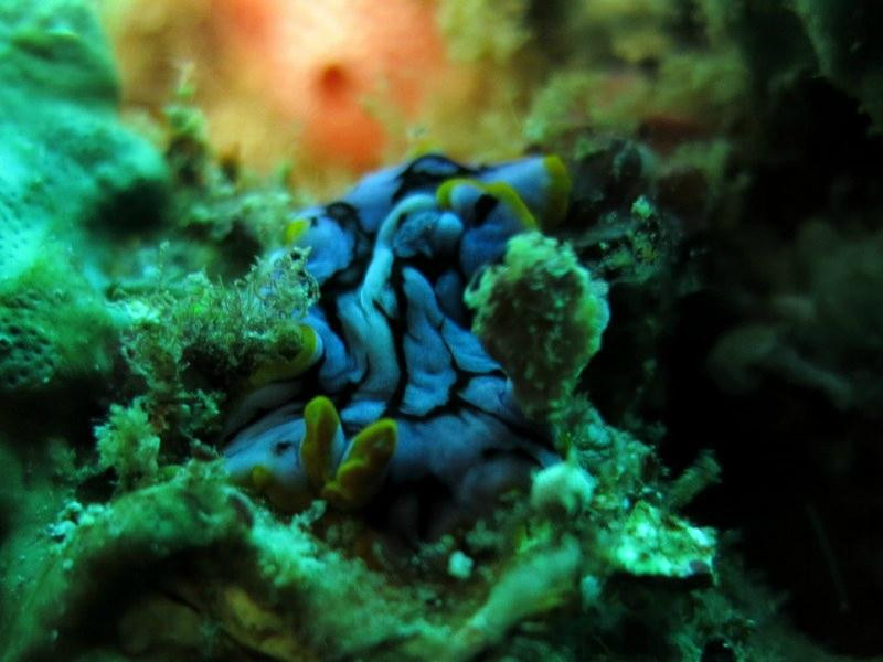 Discovery Divers Lombok-Kuta必去景点