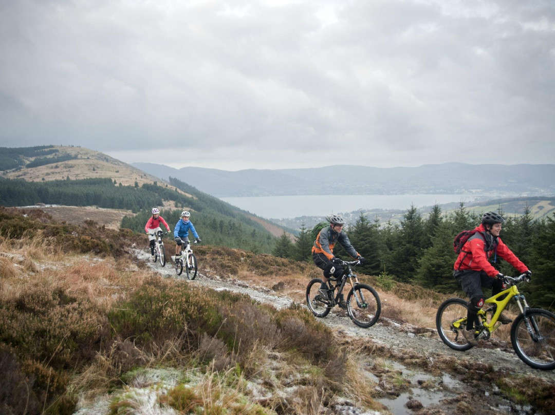 Rostrevor Mountain Bike Trails景点图片