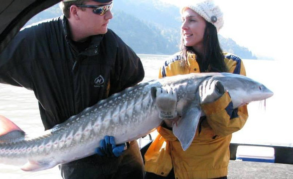 Great River Fishing Adventures-奇利瓦克必去景点