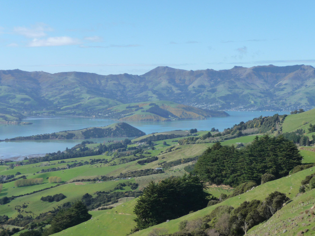 Akaroa French Connection-基督城必去景点