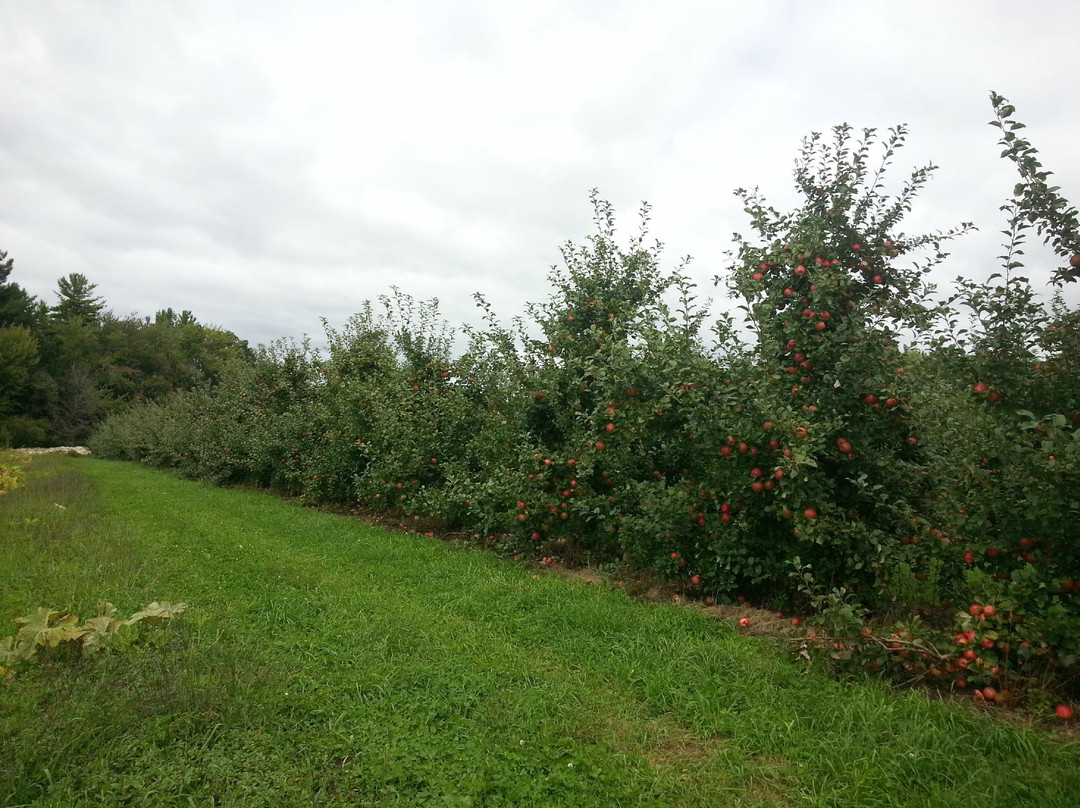 Mack's Apples-Londonderry必去景点
