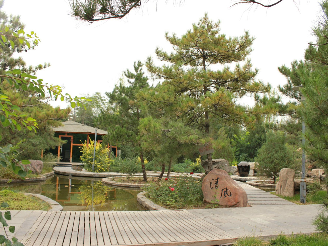 银川植物园-银川市必去景点