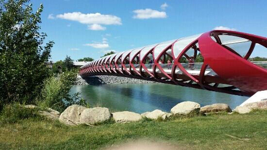 Peace Bridge-卡尔加里必去景点