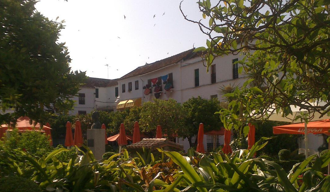 Ayuntamiento City Hall景点图片