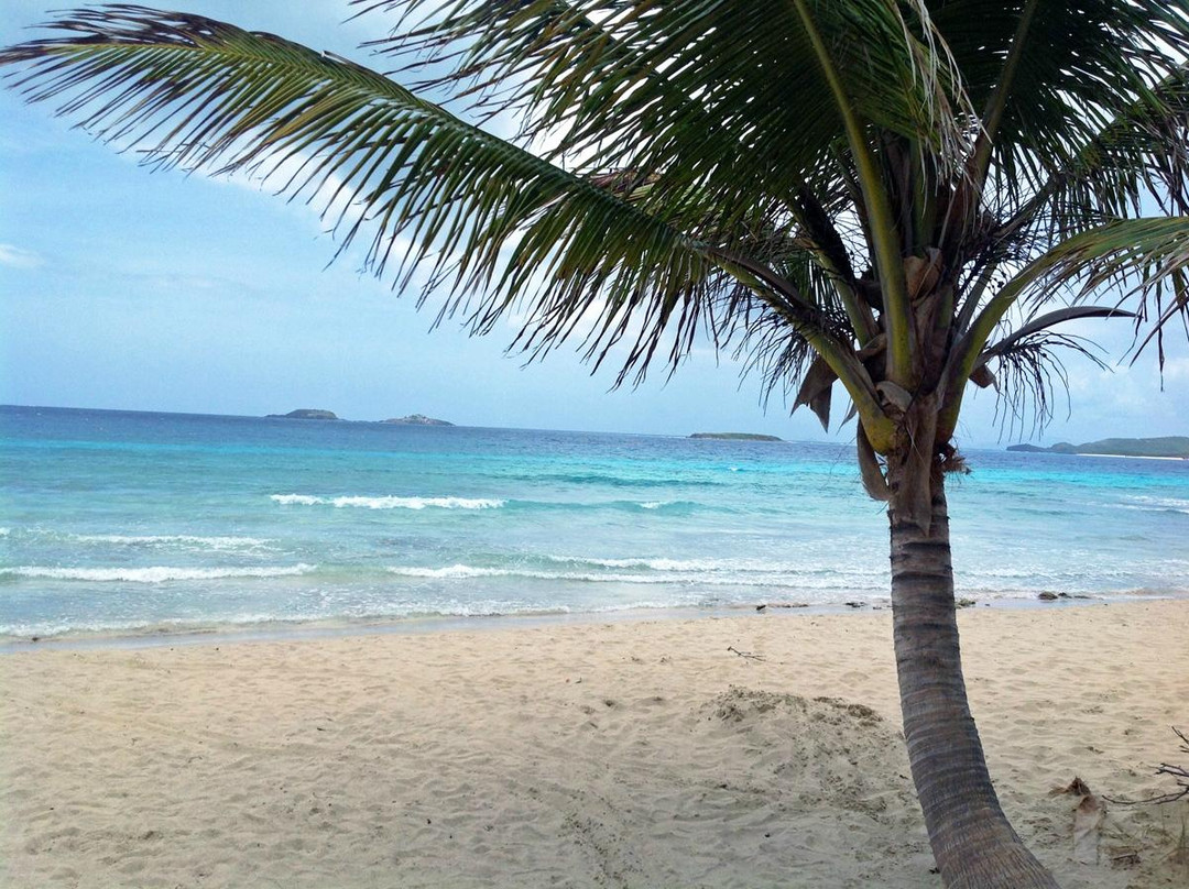 Playa Zoni-库莱布拉岛必去景点