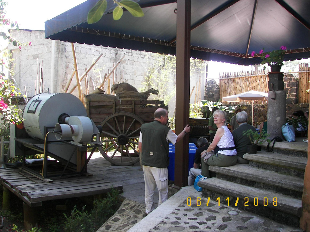 Museo del Cafe景点图片