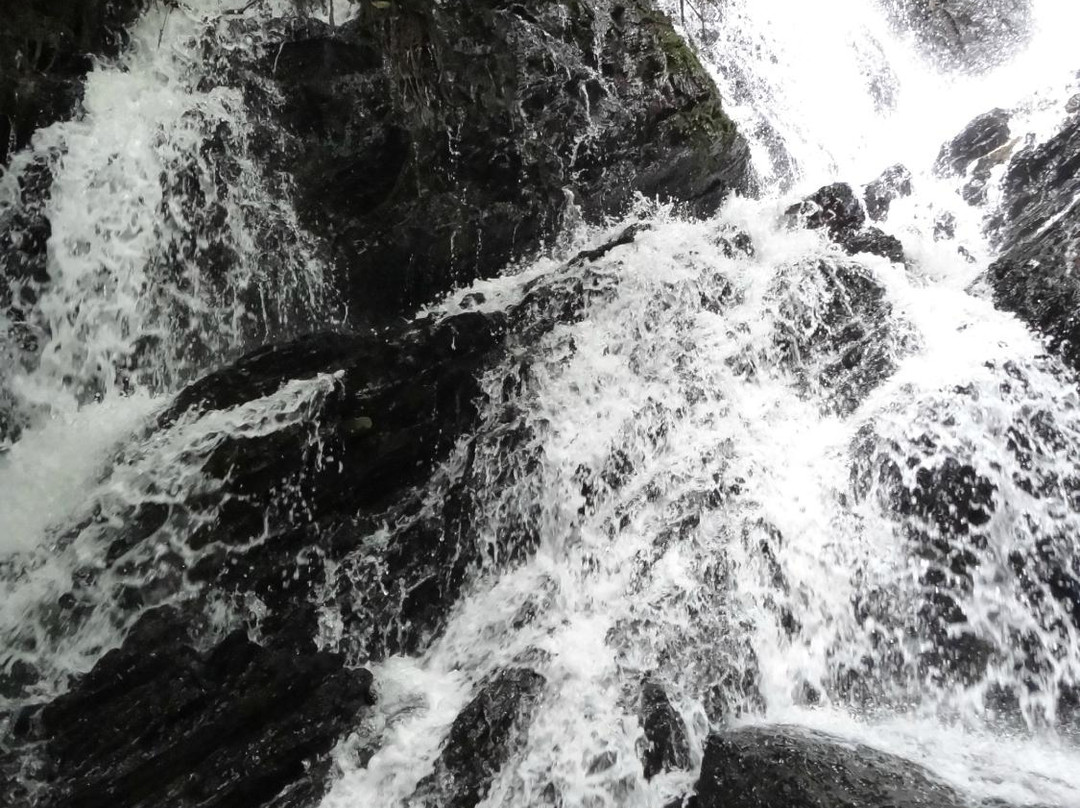 Parque Estadual Intervales