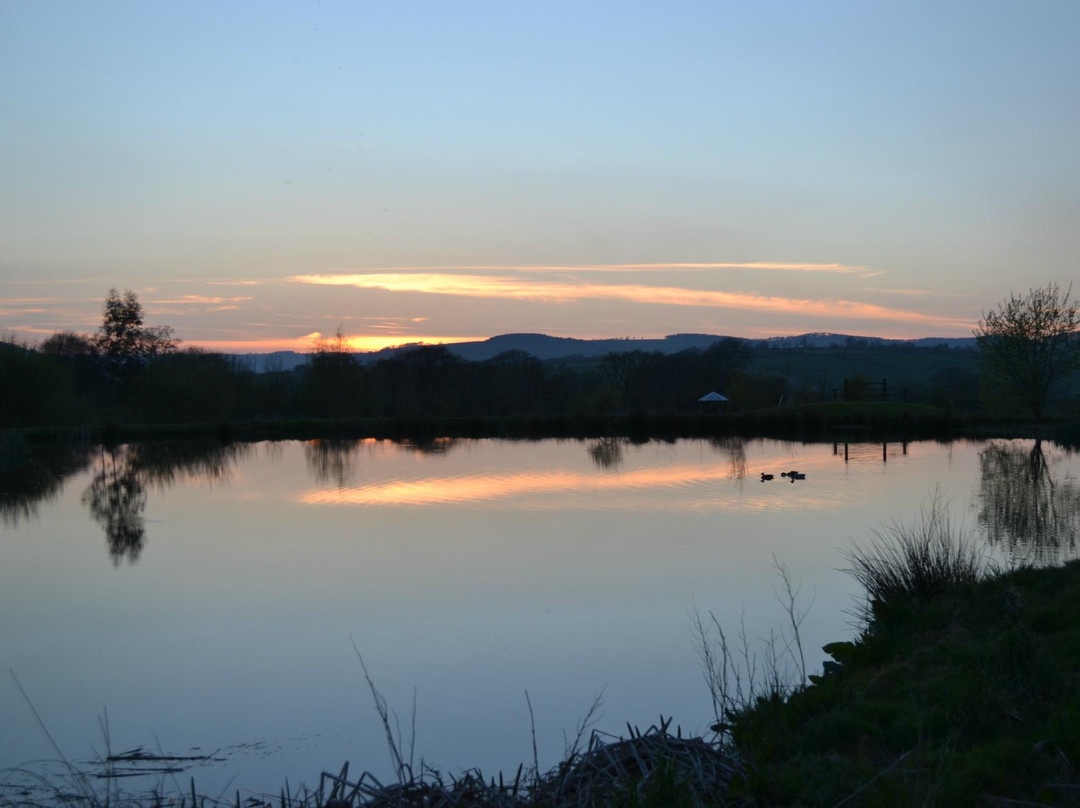 Lower Bruckland Farm Nature Reserve-Musbury必去景点
