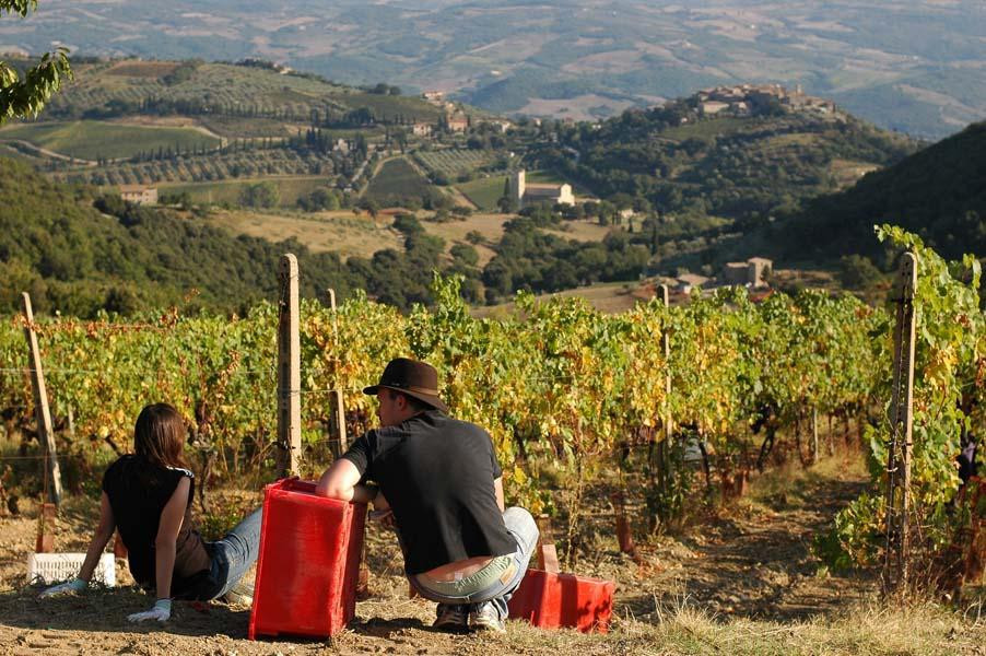 Montalcino Wine Tours-蒙塔尔奇诺必去景点