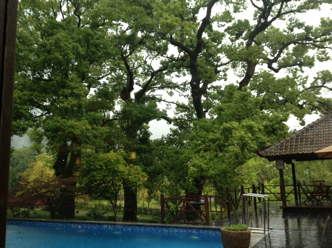 普陀山雷迪森庄园主图