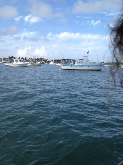 迈阿密私家鸭之旅-迈阿密海滩必去景点