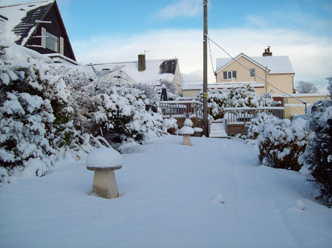 Castaway Guest House & Apartments主图