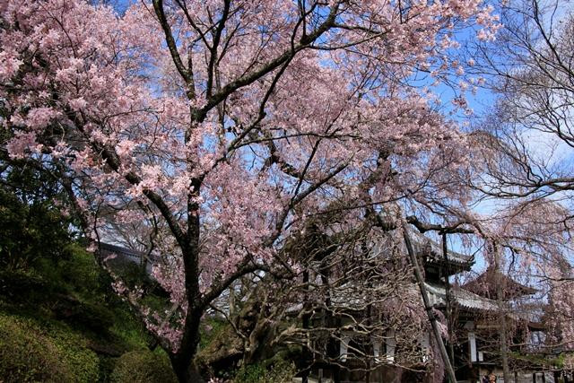 善峰寺-京都市必去景点