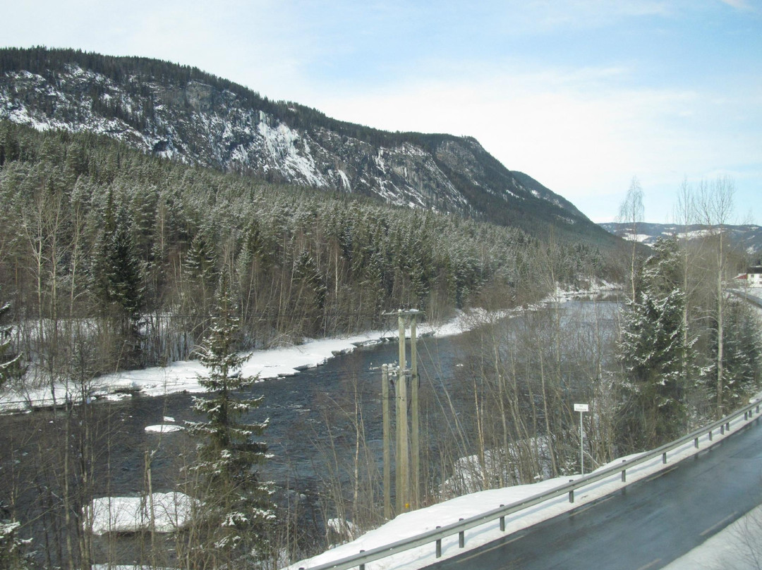 The Bergen Railway-奥斯陆必去景点