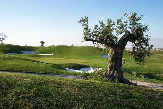 Golf El Puerto-圣玛丽亚港必去景点