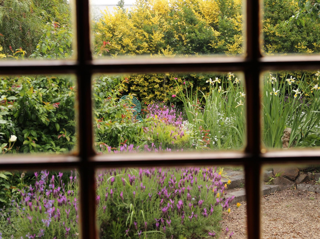 Hollyhock Cottage主图