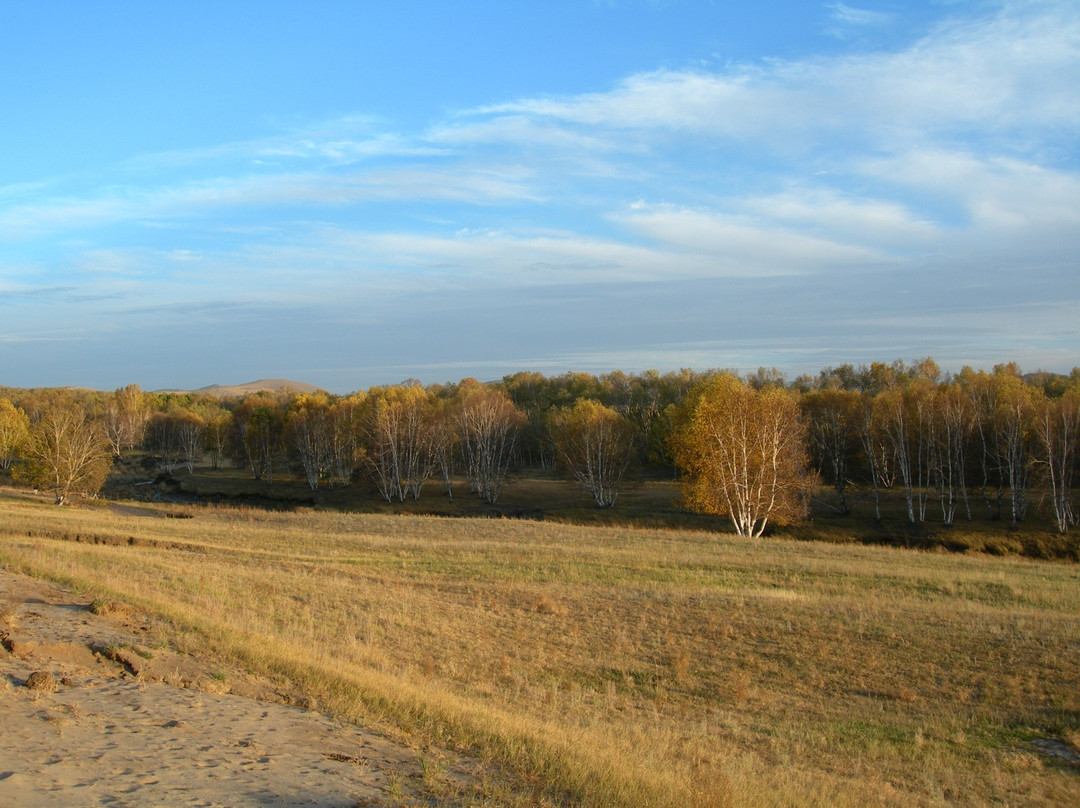 坝上红山军马场-围场县必去景点