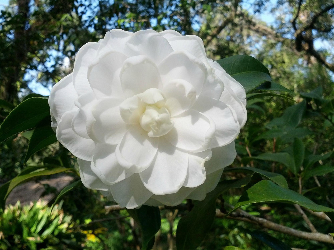 Barrow House Inn主图