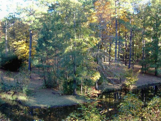 Beans Creek Ranch Cabin主图