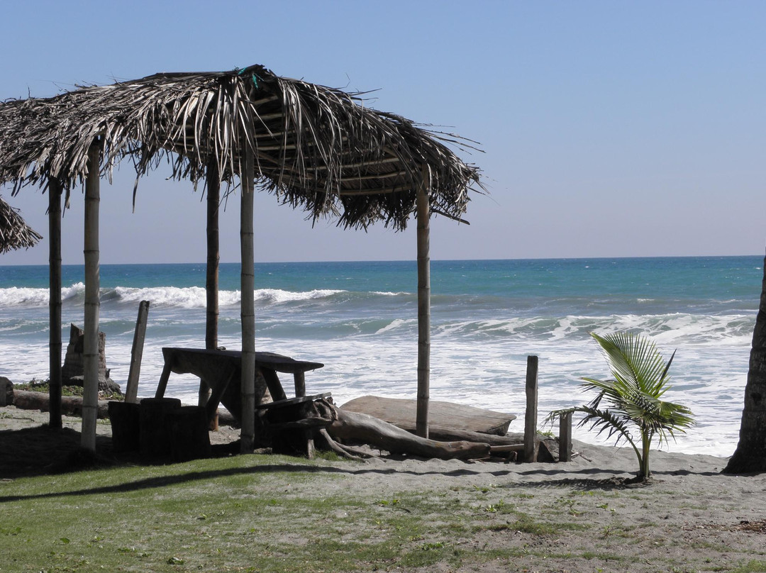 Cojimies酒店住宿-Cocosolo Lodge