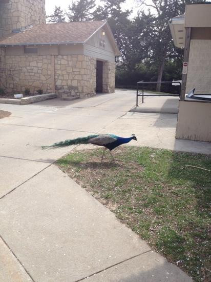 Sunset Zoo-曼哈顿必去景点