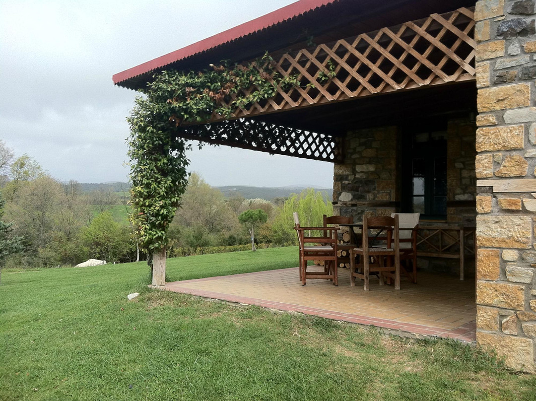 Metagkitsi酒店住宿-Platanorema