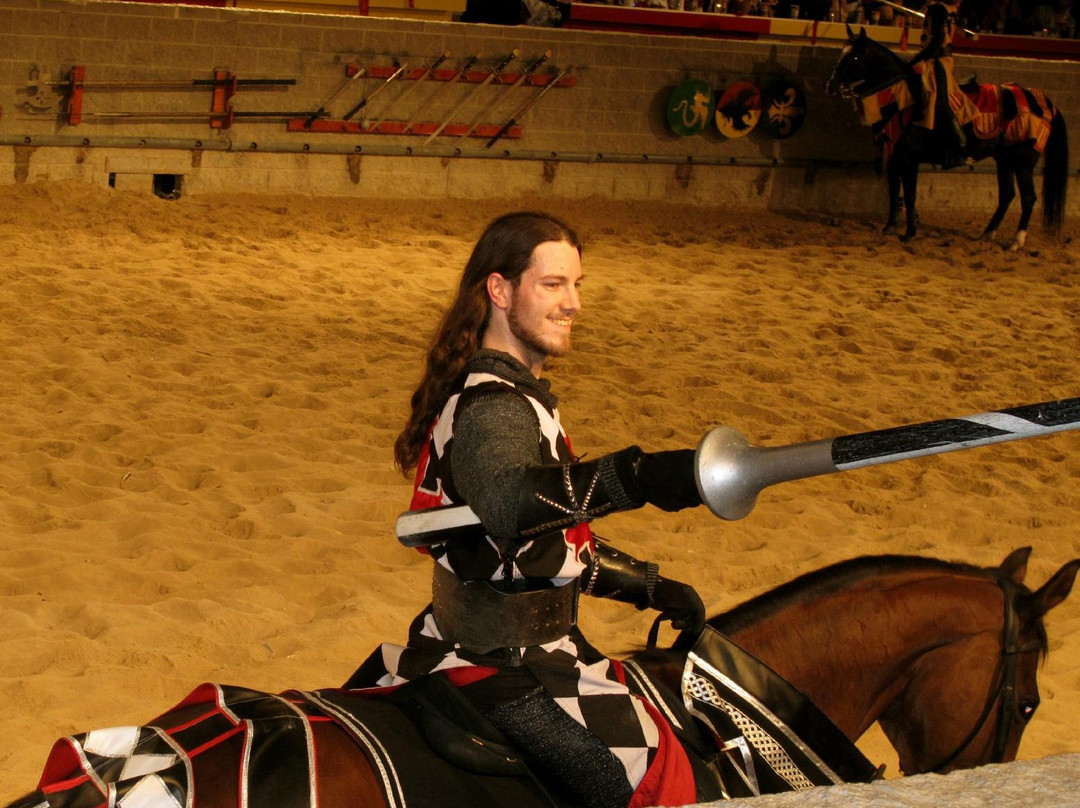 Medieval Times Dinner & Tournament-多伦多必去景点