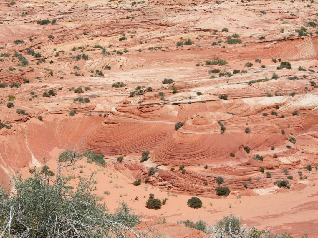 Wire Pass Trail (Buckskin Gulch Access)-卡纳布必去景点