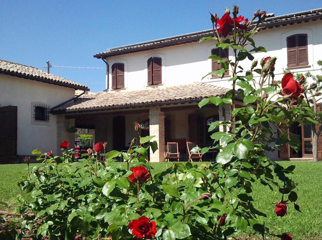 Corvia酒店住宿-B&B MammaRosa