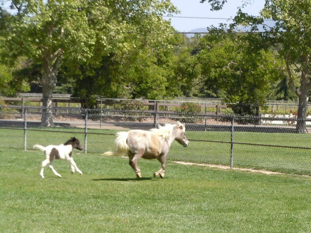 Quicksilver Ranch-索尔万必去景点