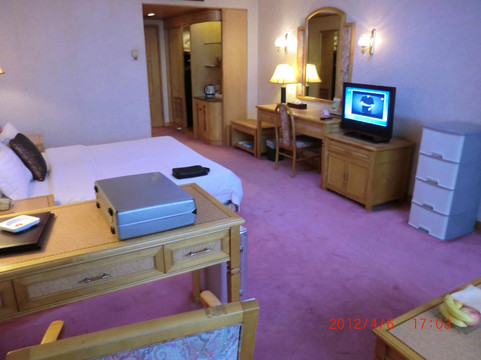 佛山金城大酒店（祖庙岭南天地店）主图